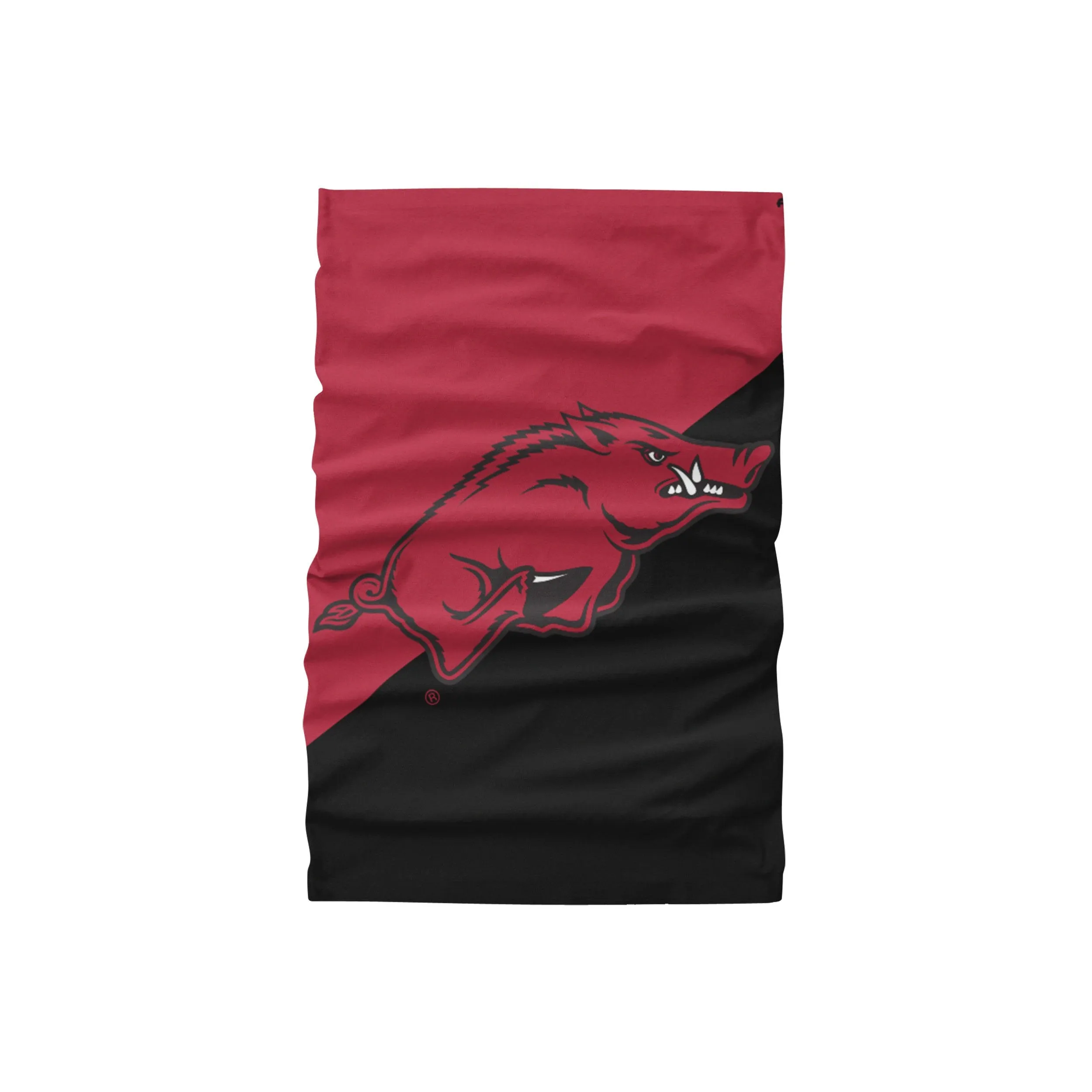 Arkansas Razorbacks NCAA Big Logo Gaiter Scarf