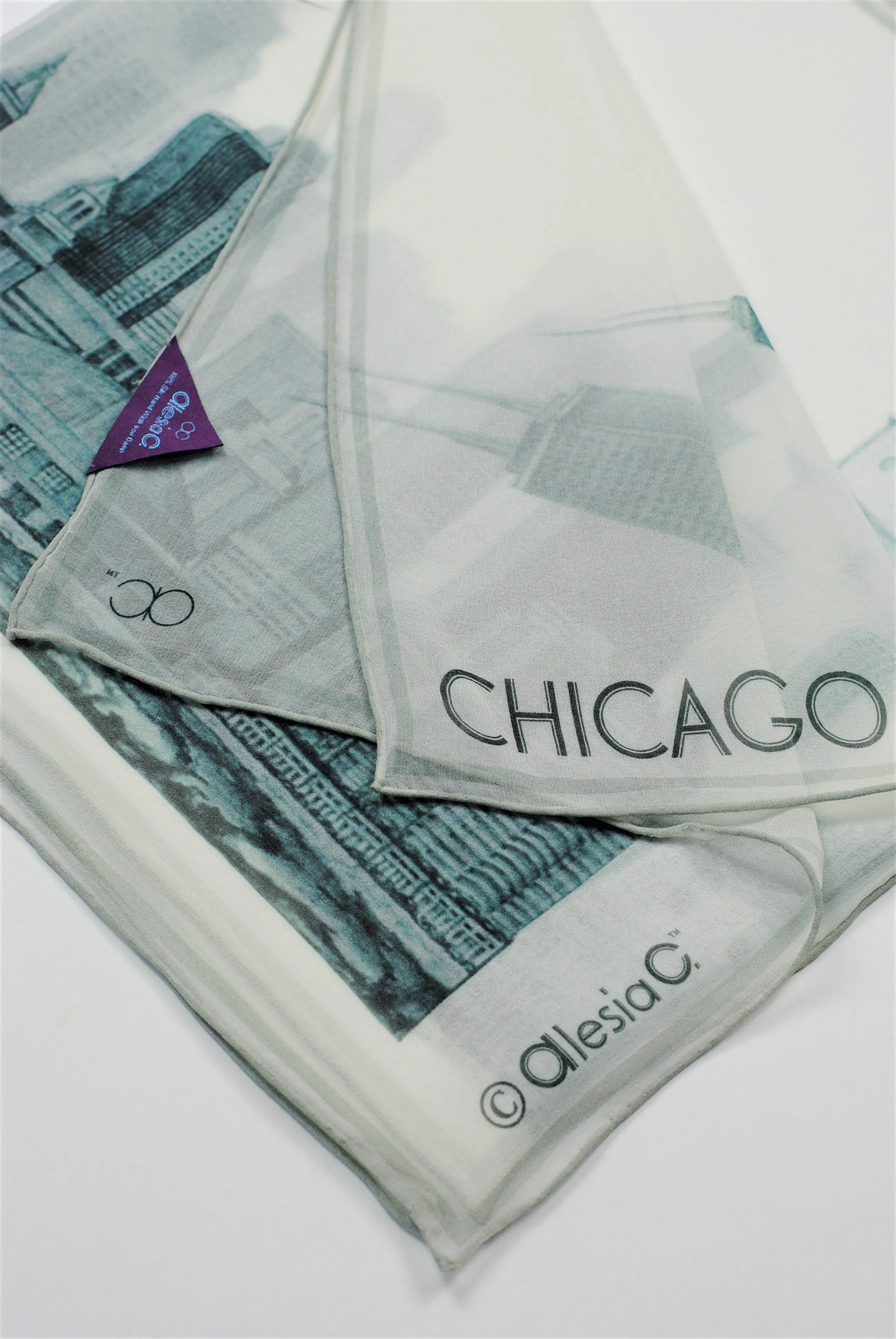 CHICAGO Skyline Designer 100% Silk Georgette Long Rectangle Scarf in Grey White