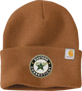 CT ECHO Stars Carhartt Watch Cap 2.0