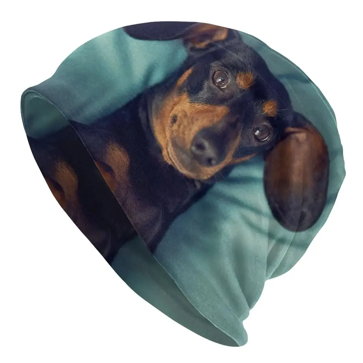 Cute Dachshund Unisex Slouchy Beanie