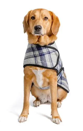 Grey & Blue Plaid Blanket Coat