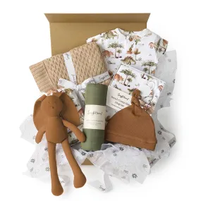 Luxury Newborn Gift Hamper - Dino