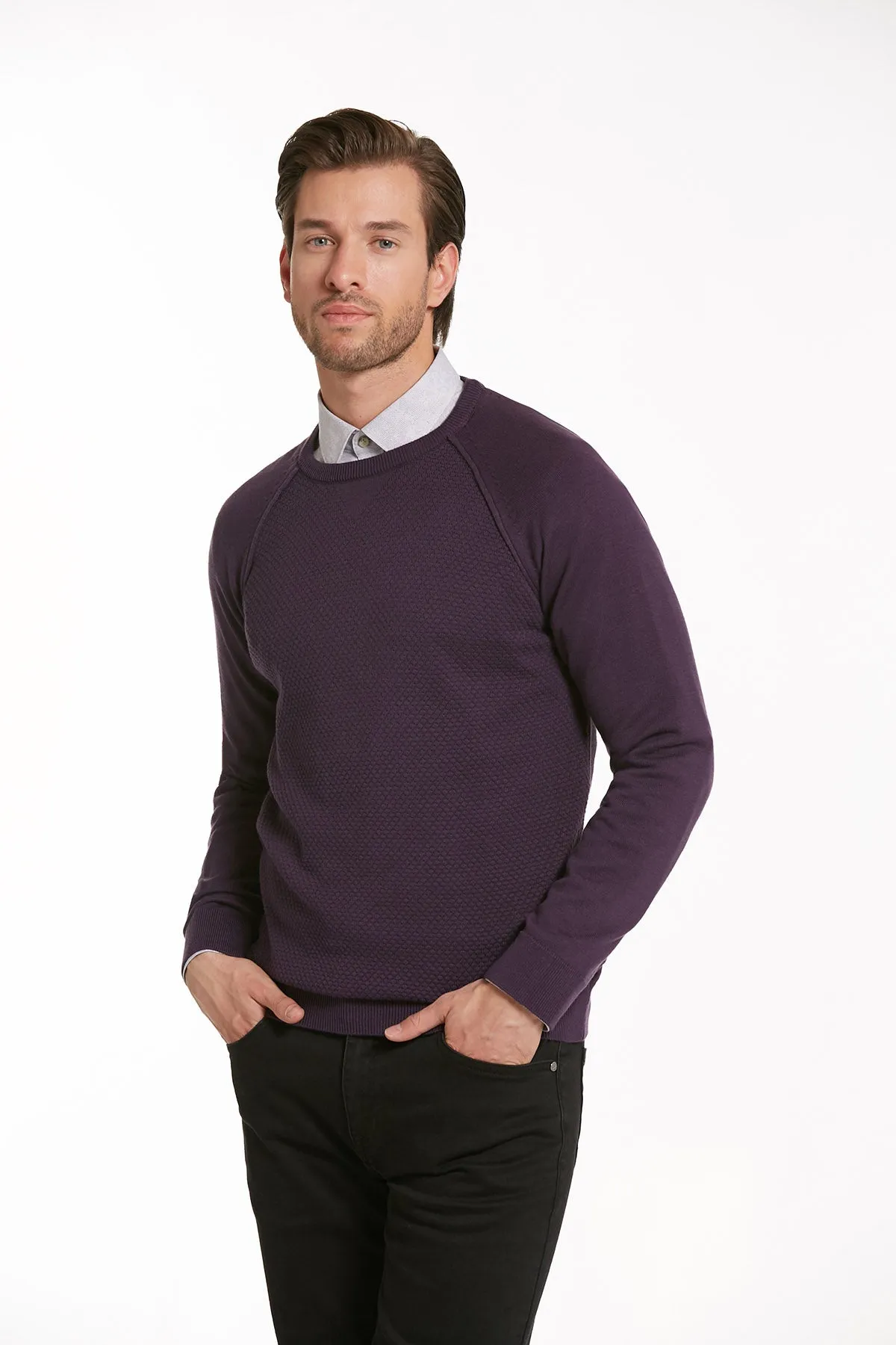 Slim Fit Purple Cotton Blend Crewneck Sweater