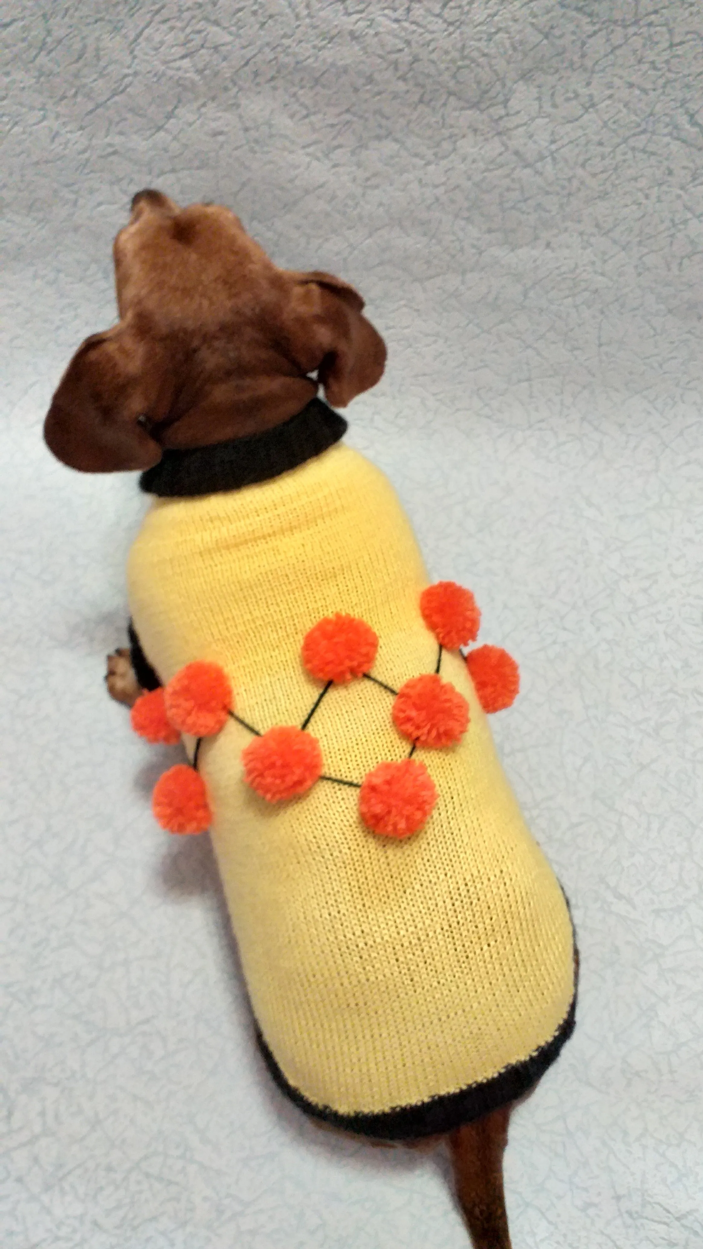 Sweater for a dog lot of pompons, sweater Halloween for dog