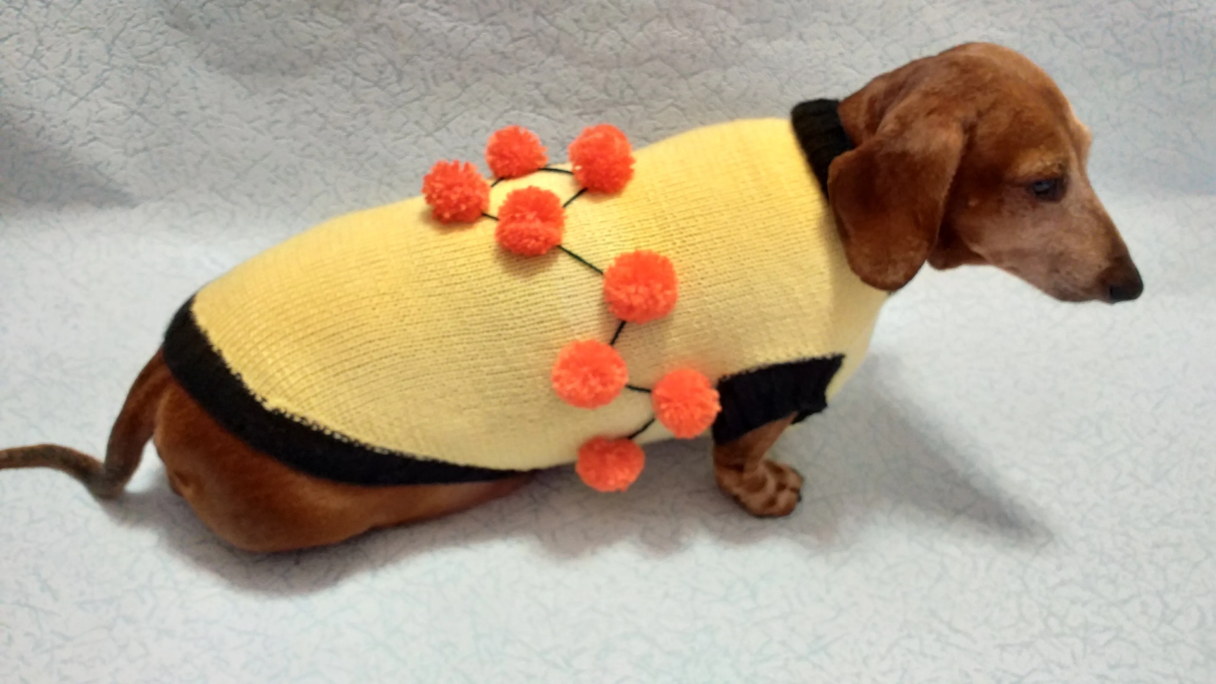 Sweater for a dog lot of pompons, sweater Halloween for dog