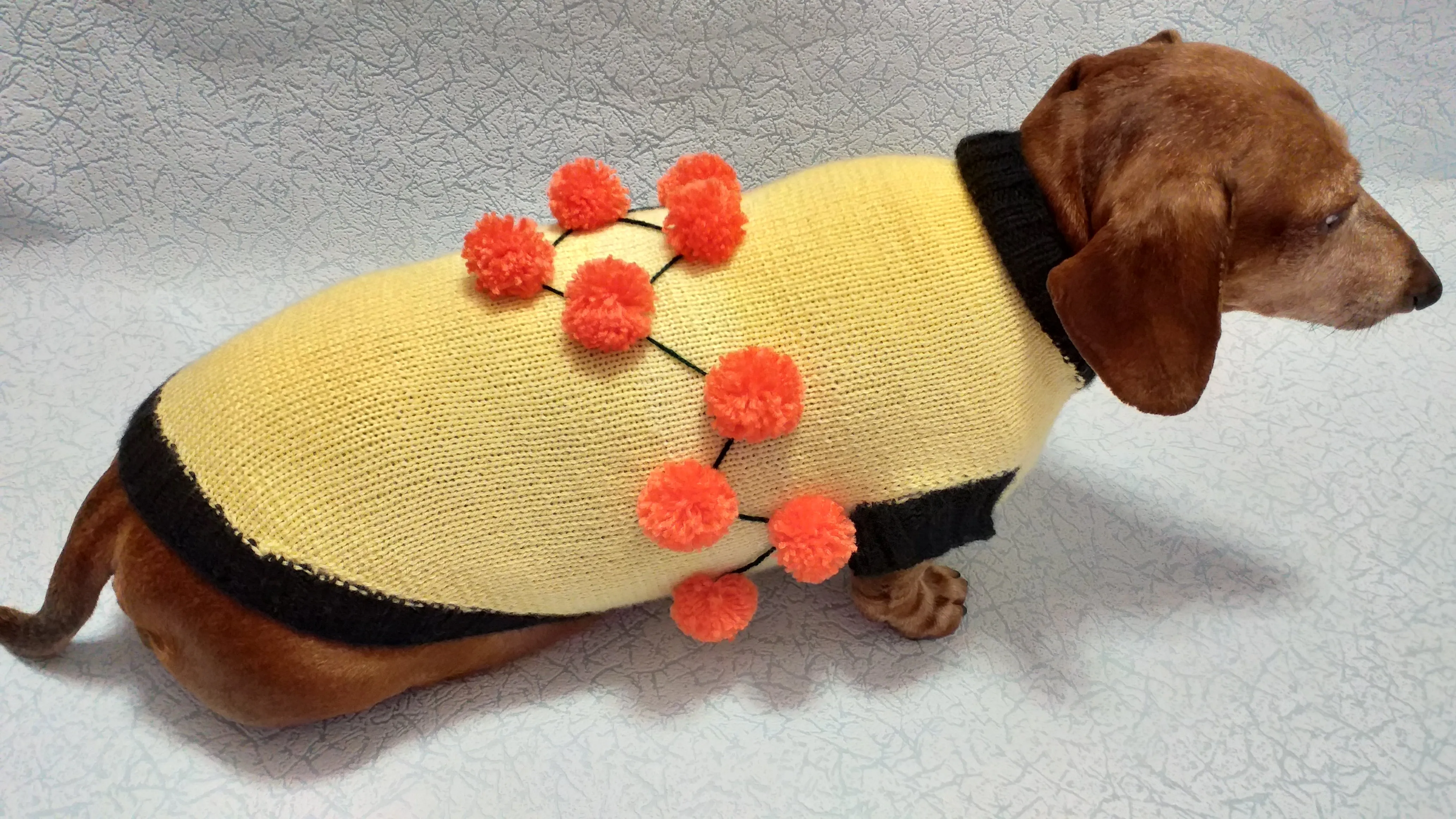 Sweater for a dog lot of pompons, sweater Halloween for dog