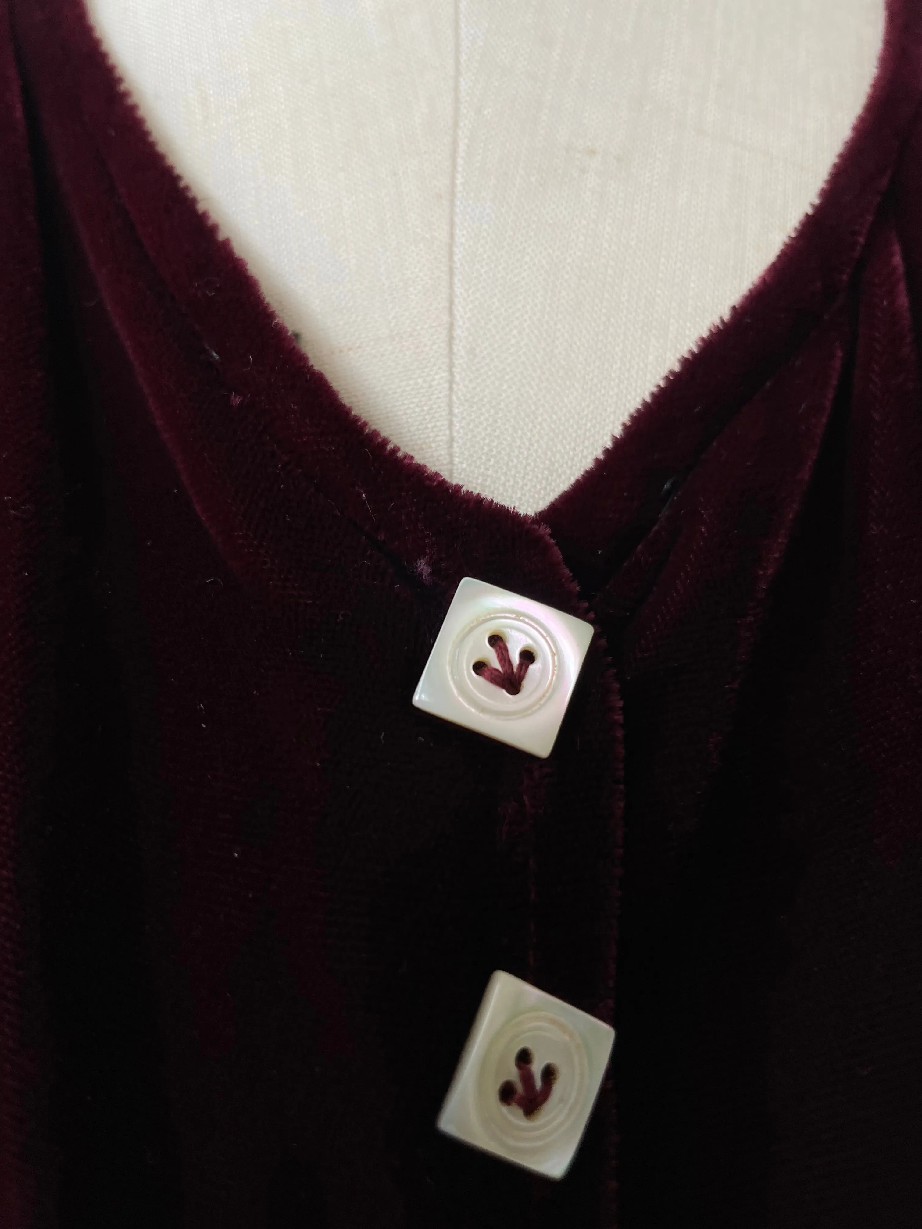 Tallis Silk Velvet Dress | 1930s