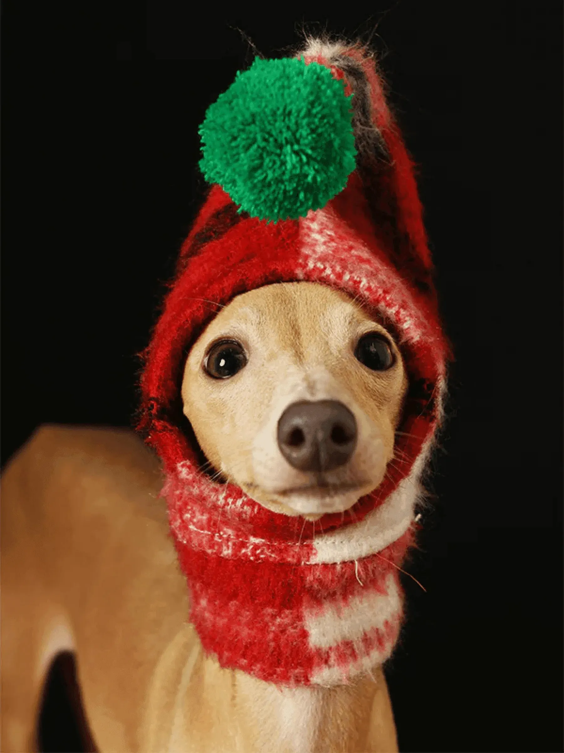 Winter Snood with Pom