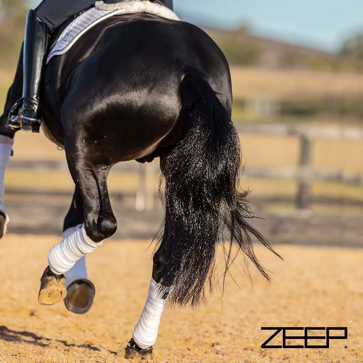 Zeep Equine Brilliant Shampoo 1L